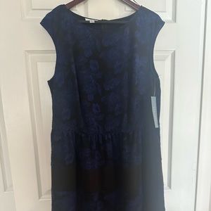 Cap sleeved blue and black lace fabric A-line dress